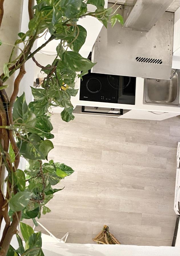 Ferienwohnung Omarea - Imperia Exterior foto